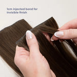 Chocolate Brown