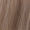 10/18 - Light Ash Blonde/Dark Blonde Mix