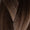 Miracle Weft 22